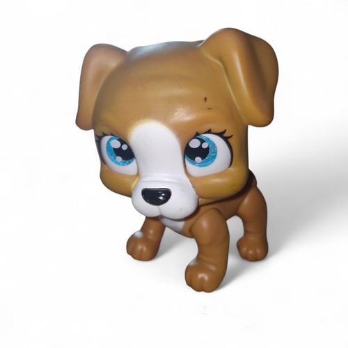 Simba pamper petz hund - 🐶,