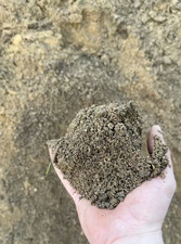 Muttererde gesiebt mit