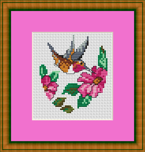 Np116 kolibri blumen - &,