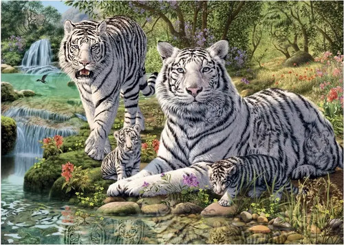 Puzzle weiße tiger - (1000,