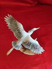 Fischreiher Reiher Kaiser