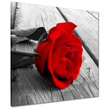 Leinwand Bild Wandbild Canvas