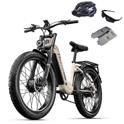 2000w elektrofahrrad zoll - 2000w, 26