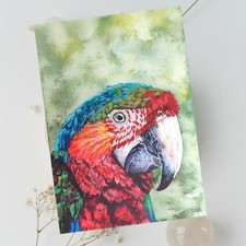 Original Papagei Gemälde in