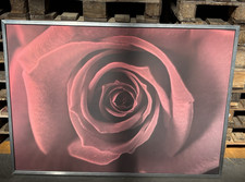 IKEA VILSHULT Wandbild Rose