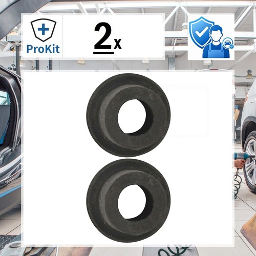 Blue print lagerbuchse - 2x,