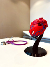 Anatomisches Herz – 3D-gedruckte Dekoration für Mediziner & Lehrzwecke