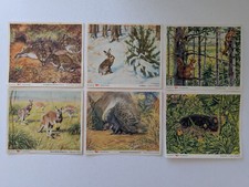 6 Stück Margarine Voss