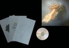 Airbrush Schablone Step by