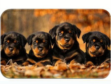 Rottweiler welpen fußmatte - rottweiler,