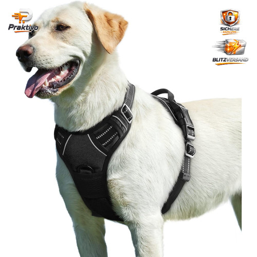 Hundegeschirr verstellbar - hundegeschirr,