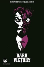 Batman graphic novel - batman,