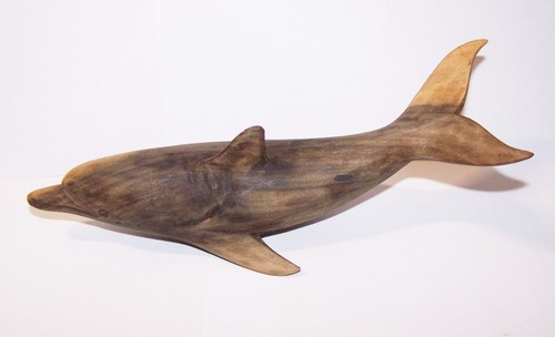 Delphin selten schwimmend - delphin,