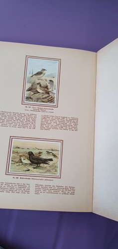 Sammelbilderalbum bunte vögel - sammelbilderalbum,