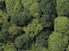 Noch 08610 - Dekormoos