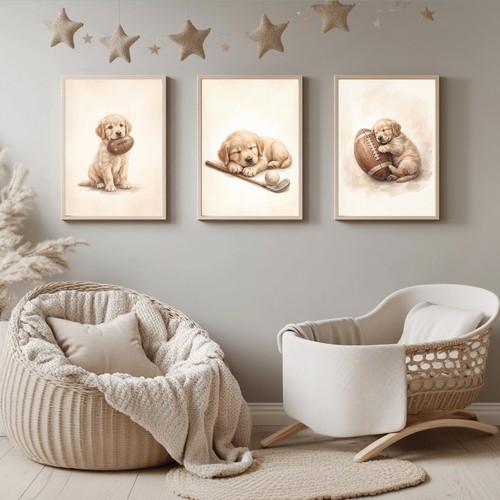 Golden retriever welpe sport - golden,