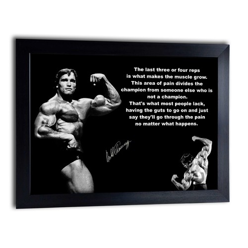 Arnold schwarzenegger - arnold,