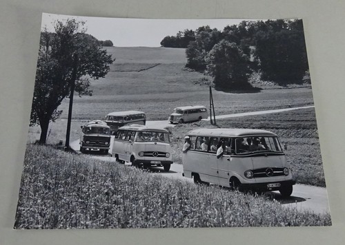 Pressefoto mercedes benz - pressefoto, mercedes-benz