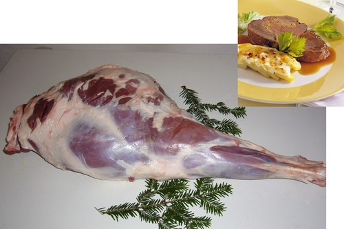 Wildkeule damhirsch - wildkeule,,
