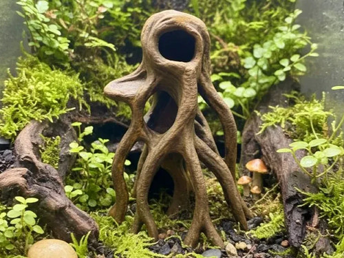 Hohe mangrovenwurzel deko - hohe, |