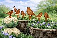 Dekostecker Vögel 6er Set