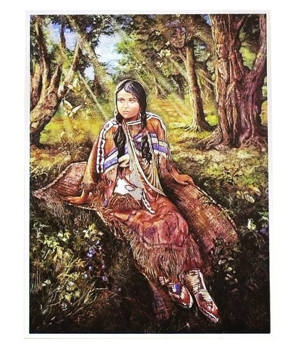 Indianer alu bild indianerin - alu-bild,