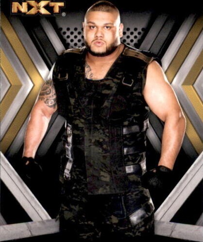 A4609 2017 topps wwe nxt - a4609-,