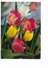 alte  AK Frohe Ostern Papageientulpen Tulpel, sehr schöne Karte 