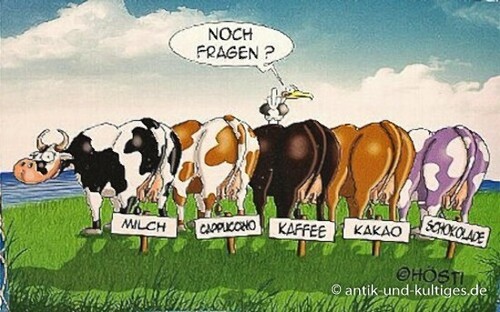 Platzset kühe hösti - platzset,