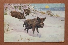 Wild boar Winter Sun Antique