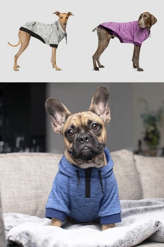 Canada pooch spacedye hero - pooch,