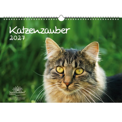 Katzenzauber din kalender - katzenzauber,