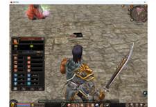 Metin2 Germania Körper Krieger Acc