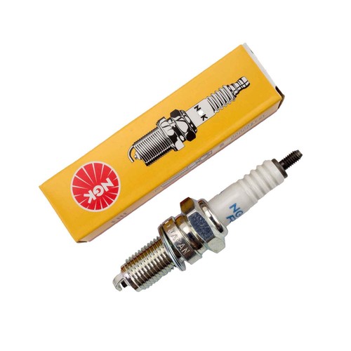 Zündkerze ngk dcpr8e - zündkerze,
