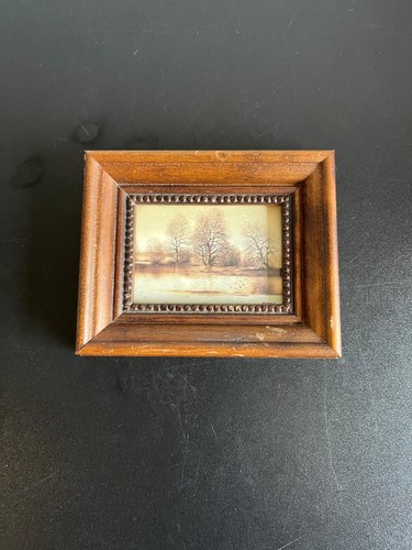 Sehr schönes miniatur - schönes,