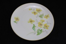 Schöner Kuchenteller von