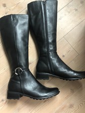 Lambertazzi gr - 💜, 👢