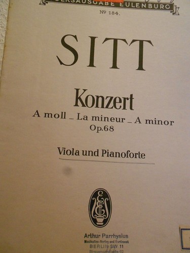 Hans sitt konzert - a, moll