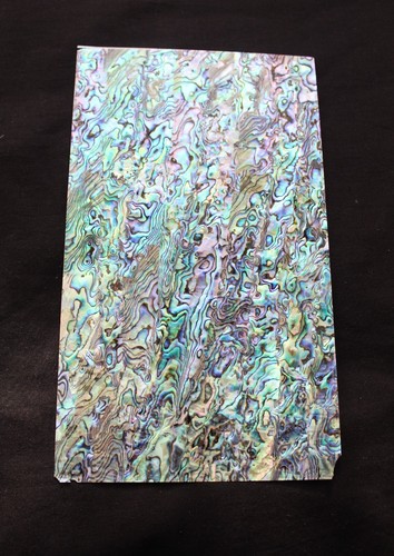 Perlmutt neuseeland abalone - neuseeland,