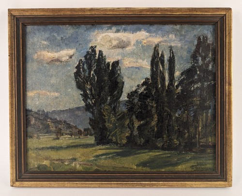 Ludwig bolgiano - (1866,