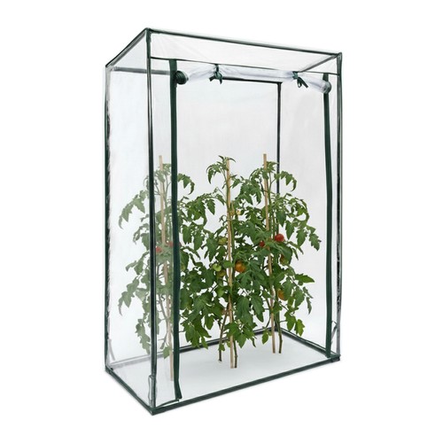 Gewächshaus für tomaten