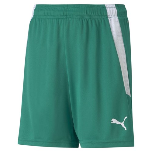 Puma teamliga shorts - puma,