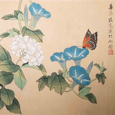 Schmetterling Trichterwinde