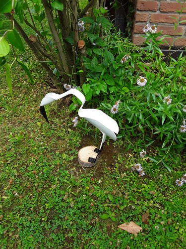 Abstrakter vogel für den - für,