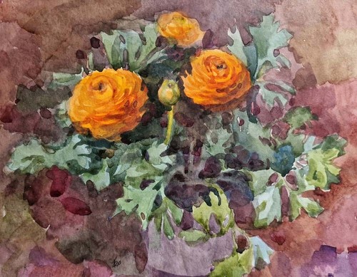 Ranunkeln aquarellgemälde auf - ranunkeln,