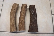 Hirschhornstück Horn