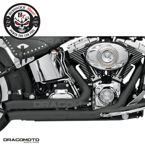 Harley flstfb 1584 abs - flstfb, boy