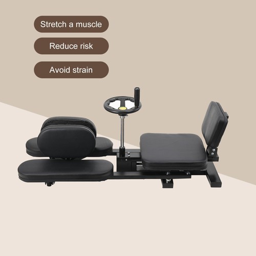 Beinstrecker maschine - beinstrecker,