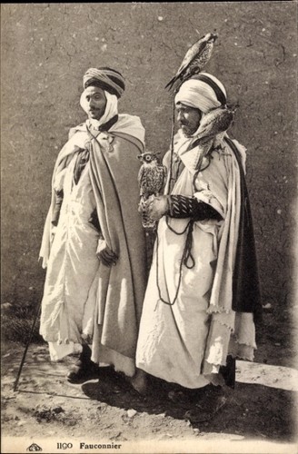 Falknerei arabische - falknerei,,