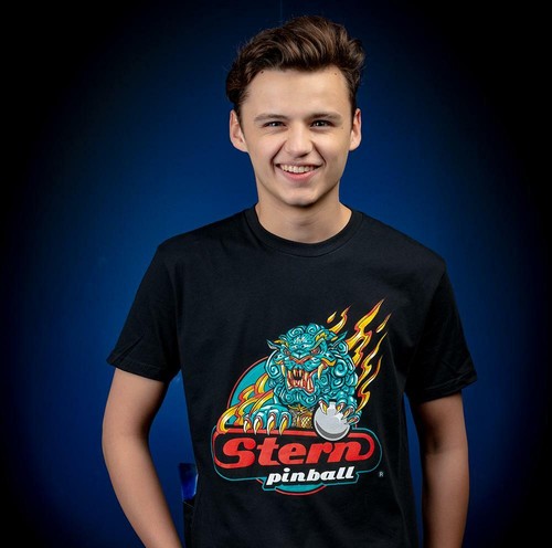 Stern pinball guardian the - pinball,